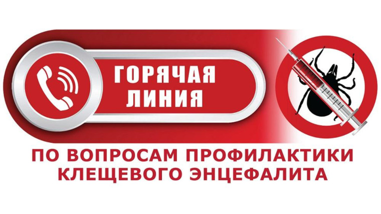 Горячая линия.
