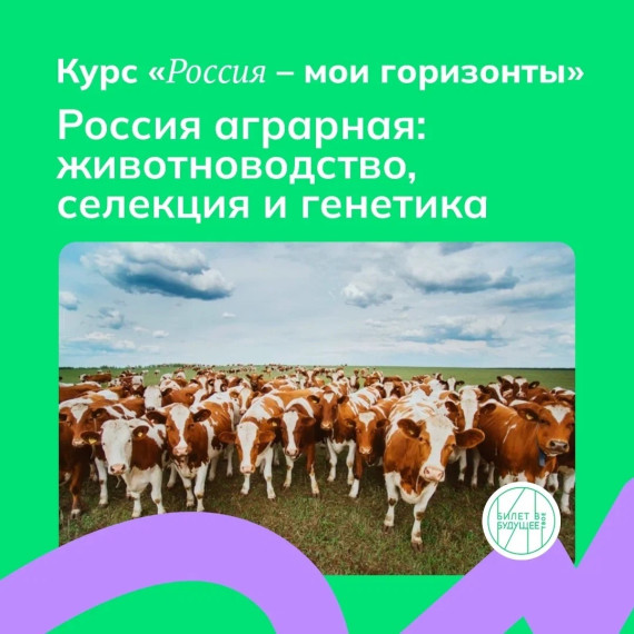 "Россия — мои горизонты».