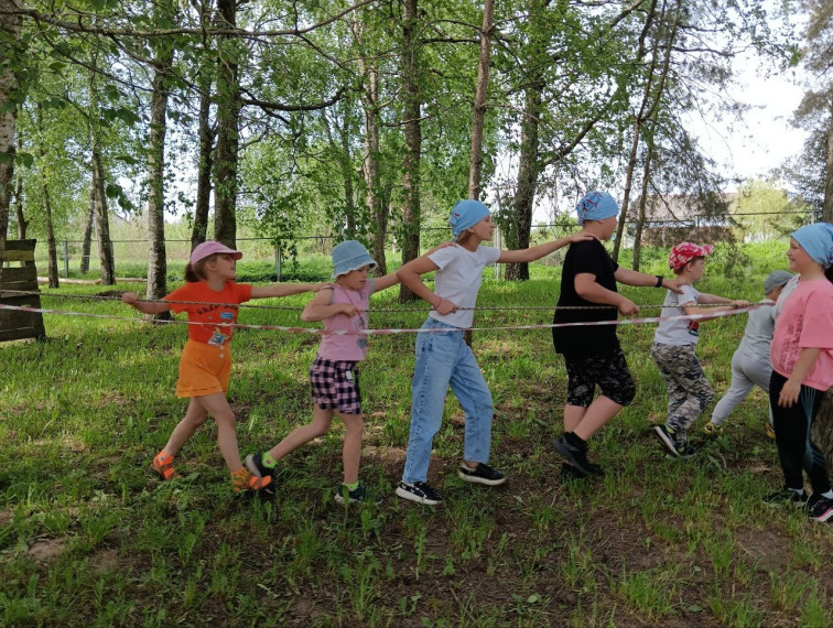 Летнее оздоровление.