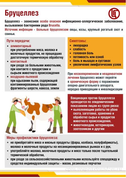 профилактика бруцеллеза.